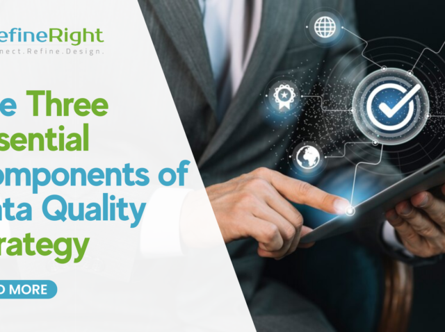 The Three Essential Components of Data Quality Strategy | DR Blog Banner